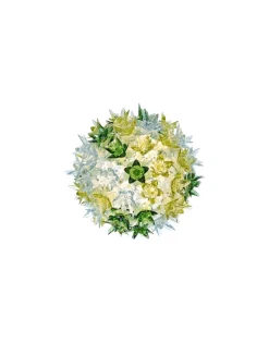 Bloom applique