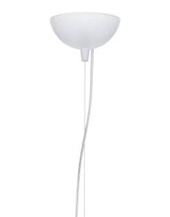 Bloom sospensione medium