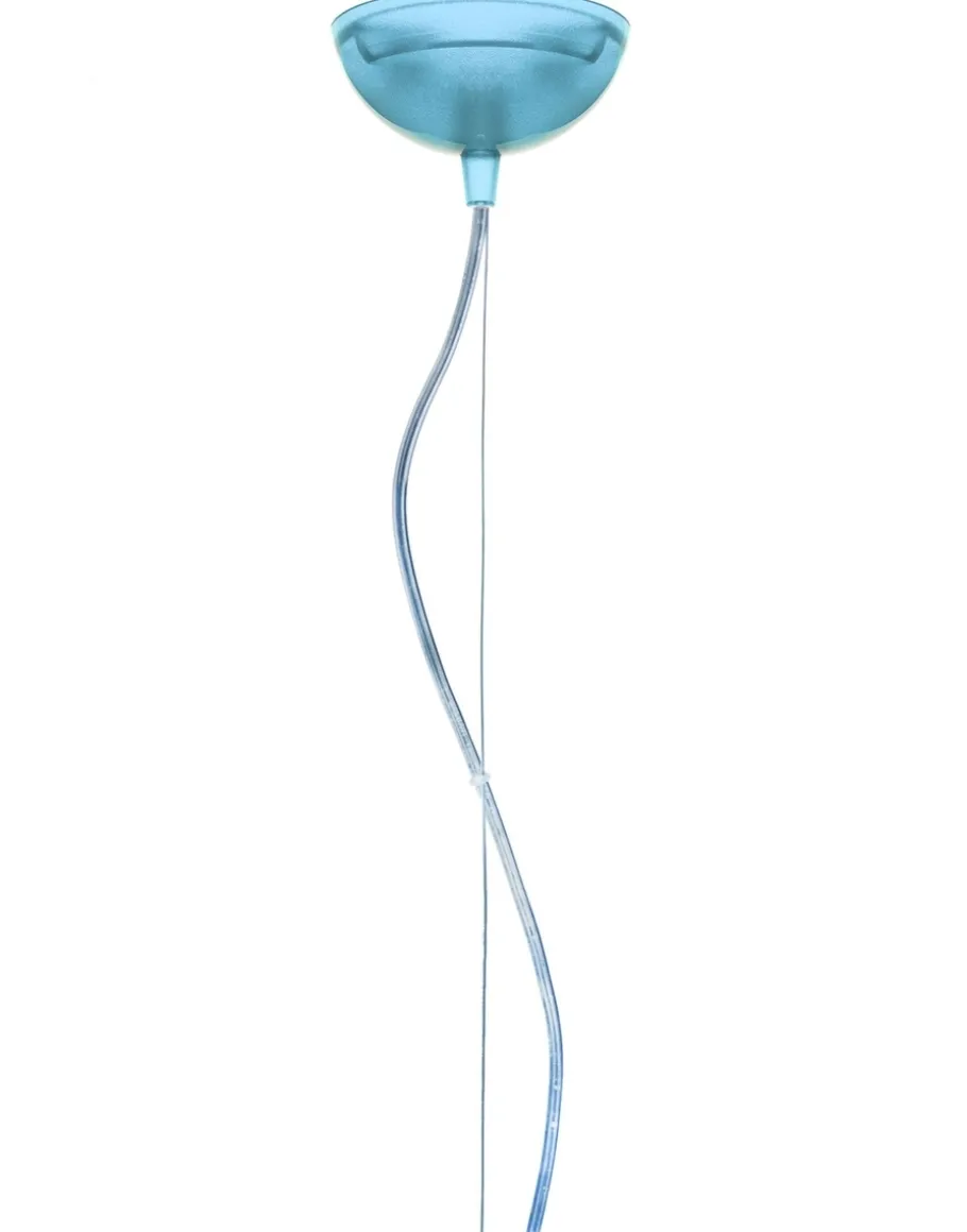 Small fl/y trasparente