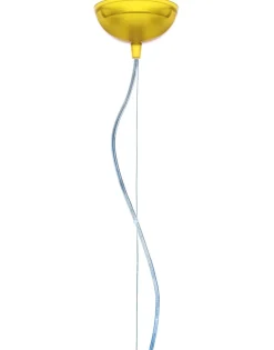 Small fl/y trasparente