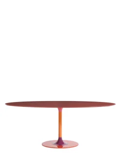 Thierry xxl ovale